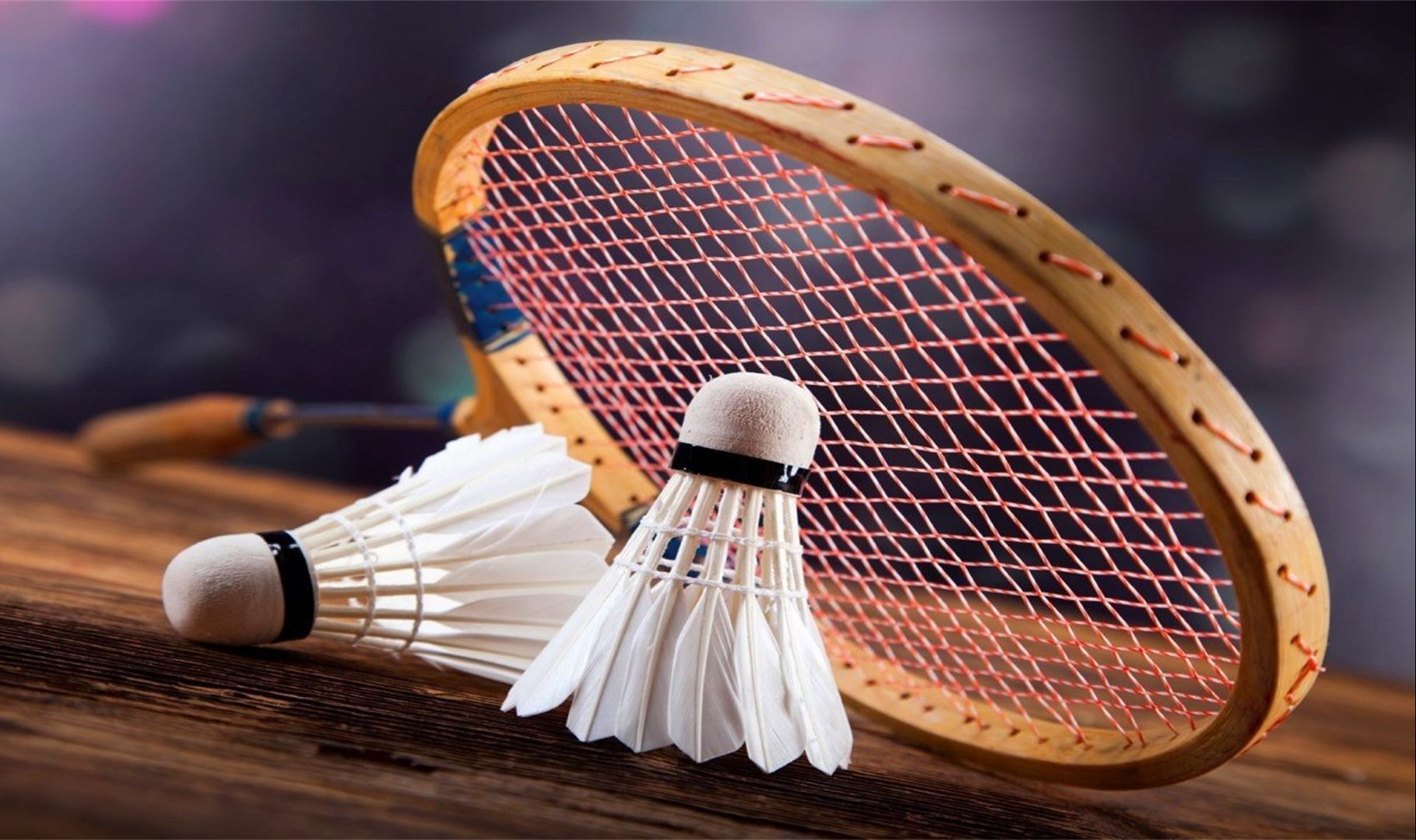 教练的认可 教练的认可