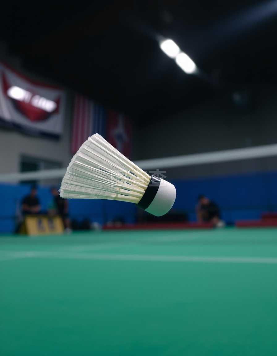 中国游泳选 中国游泳选