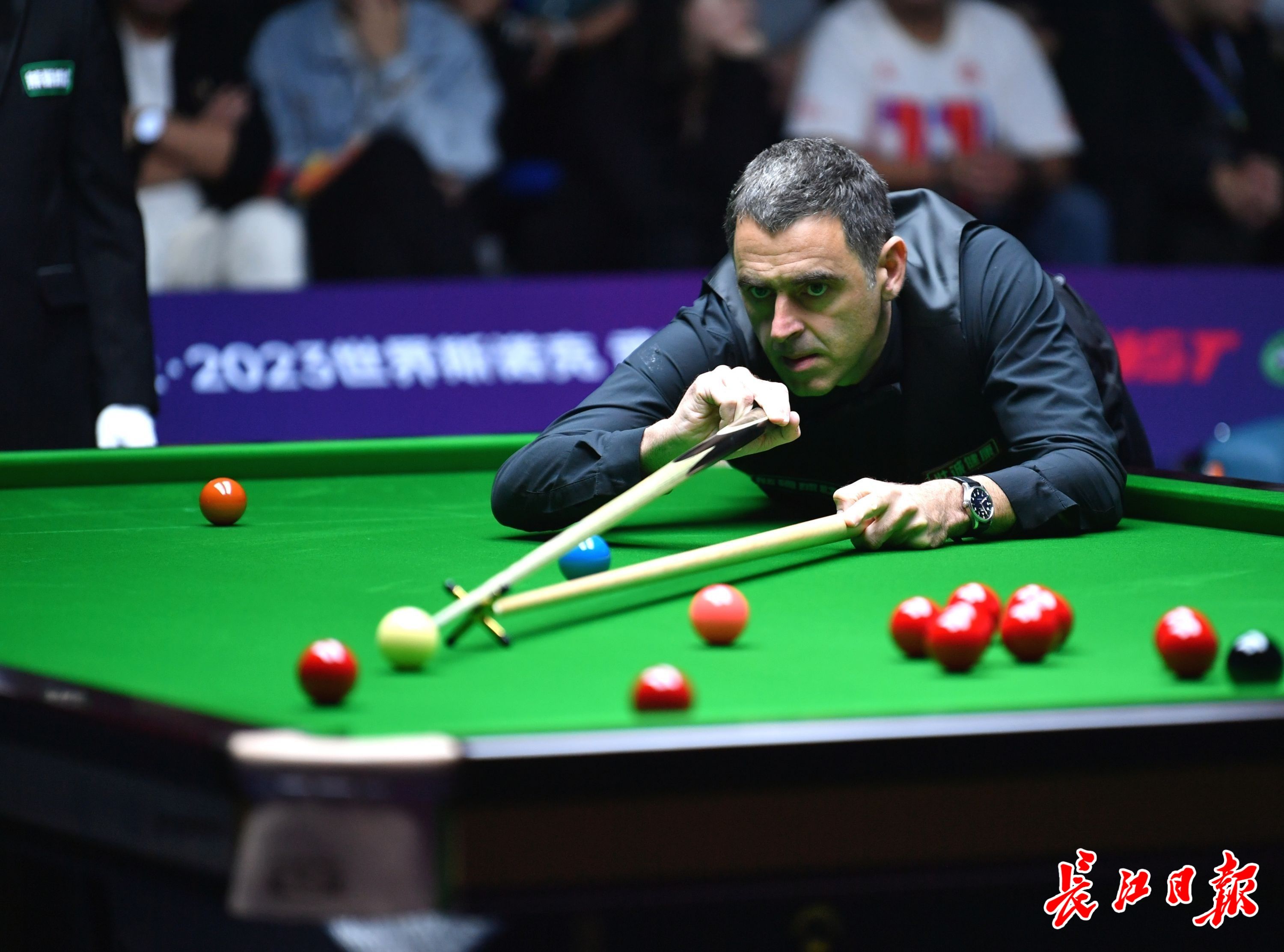 但无对抗的 但无对抗的